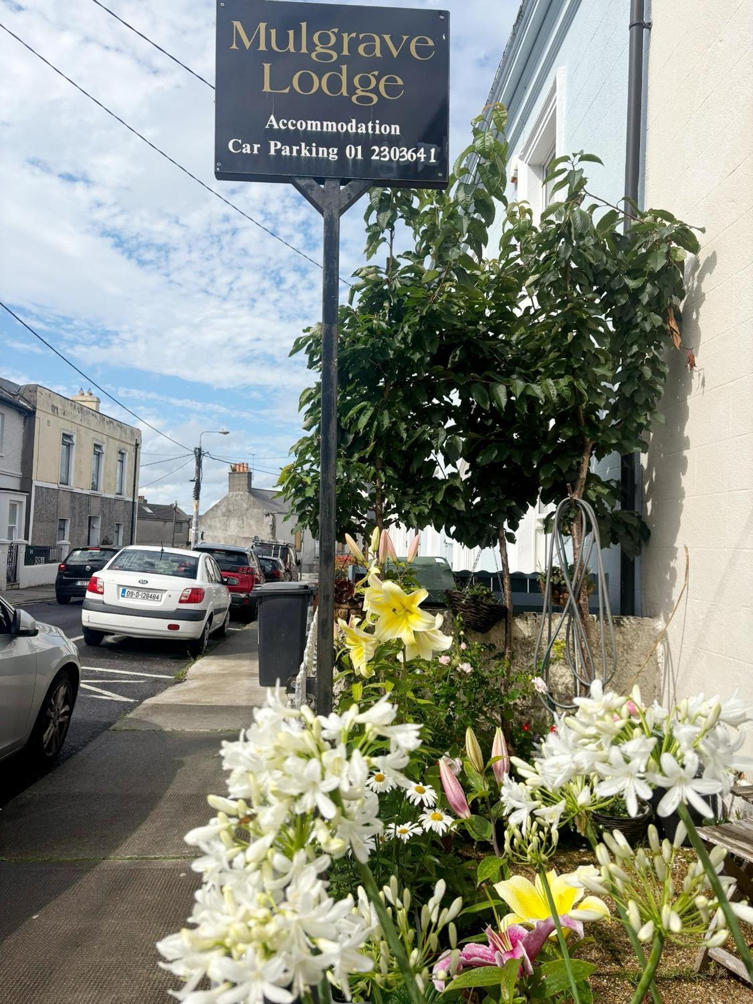 Mulgrave Lodge Dun Laoghaire Buitenkant foto